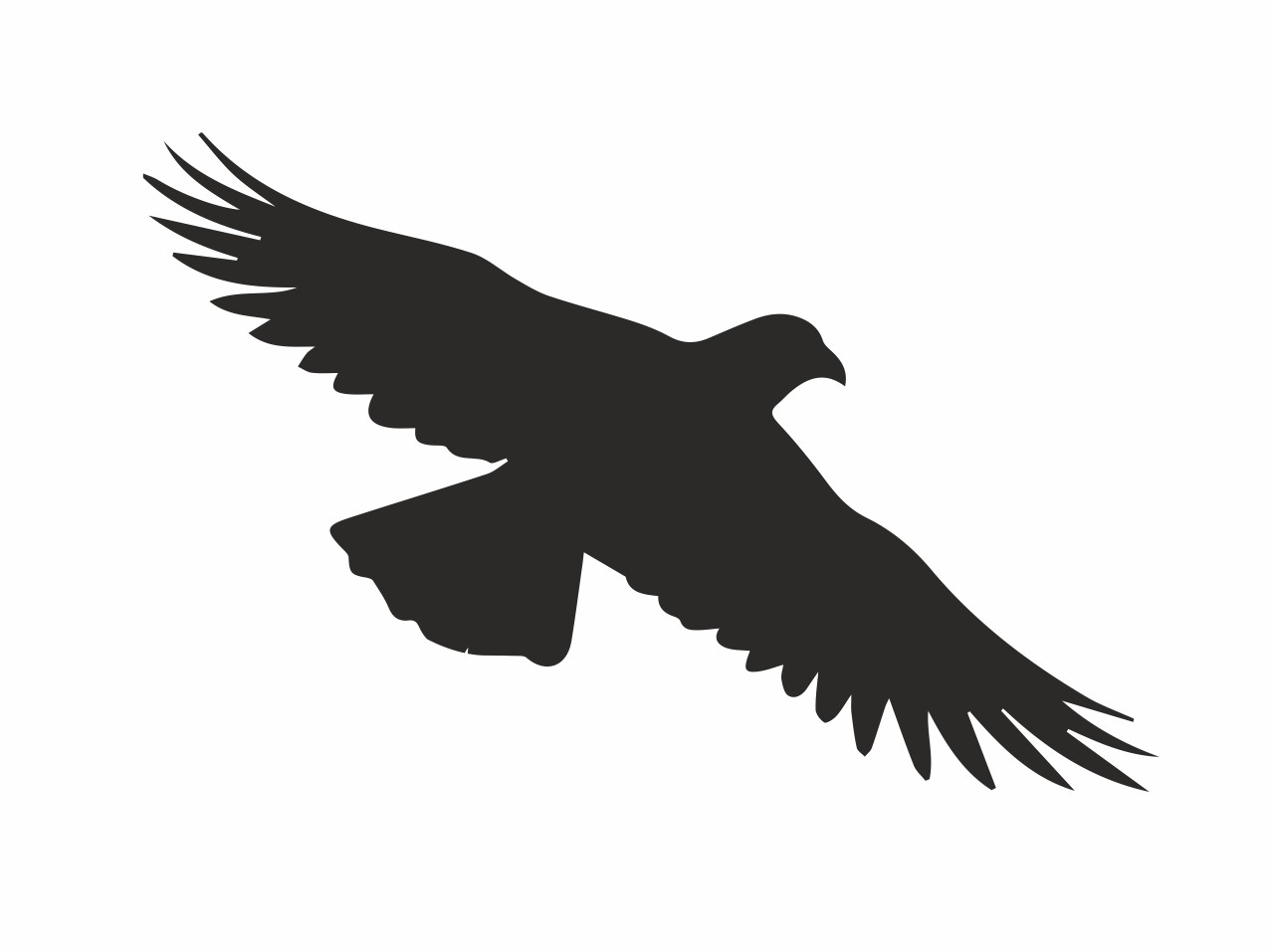 TIERE Vogel #006 Wandtattoo